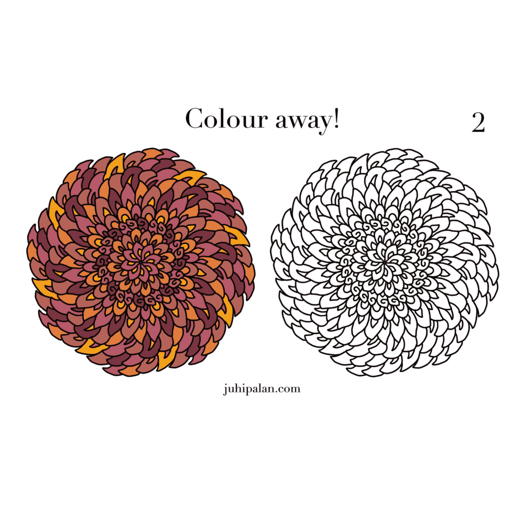 Juhi Palan Digital Product